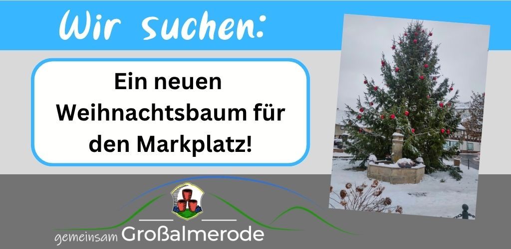 Weihnachtsbaum gesucht