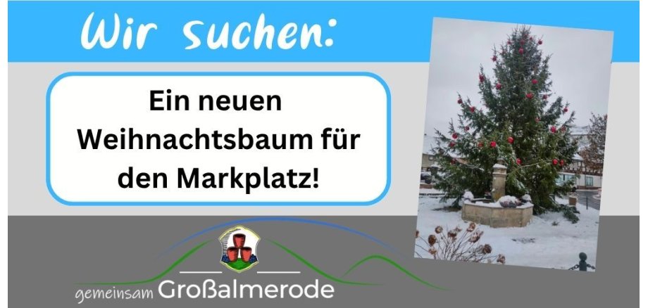 Weihnachtsbaum gesucht Weihnachtsbaum gesucht