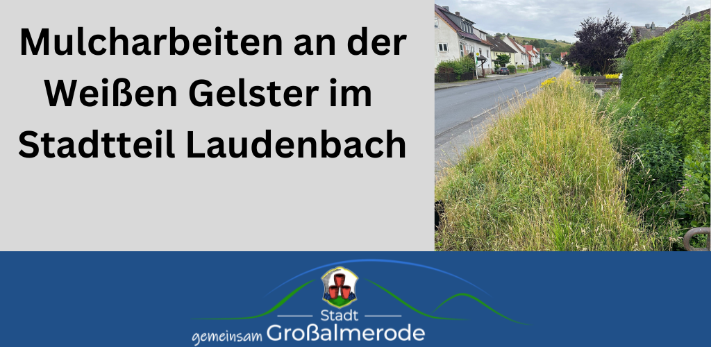 Stellenausschreibung - 4