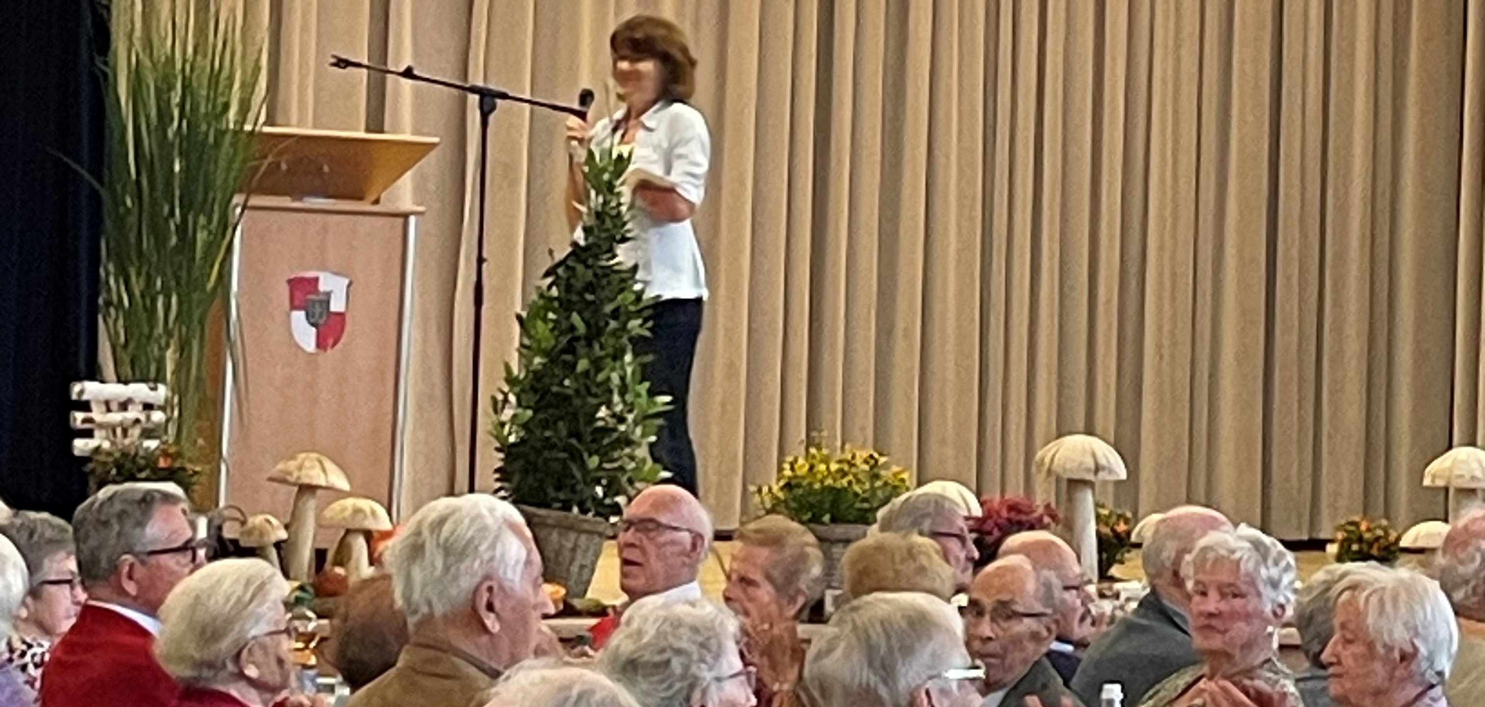 Kreisseniorennachmittag Blick auf die Bühne
